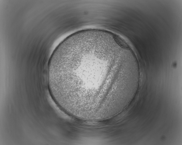 X0000116351295200912221454