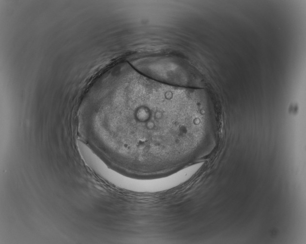 X0000116351297200912221453