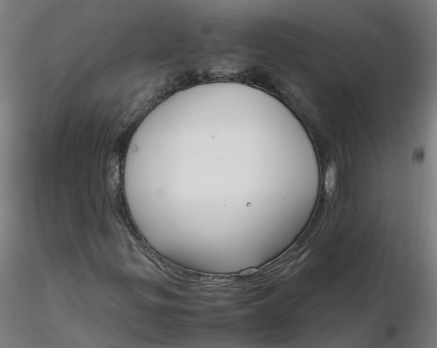 X0000116351299200912221453