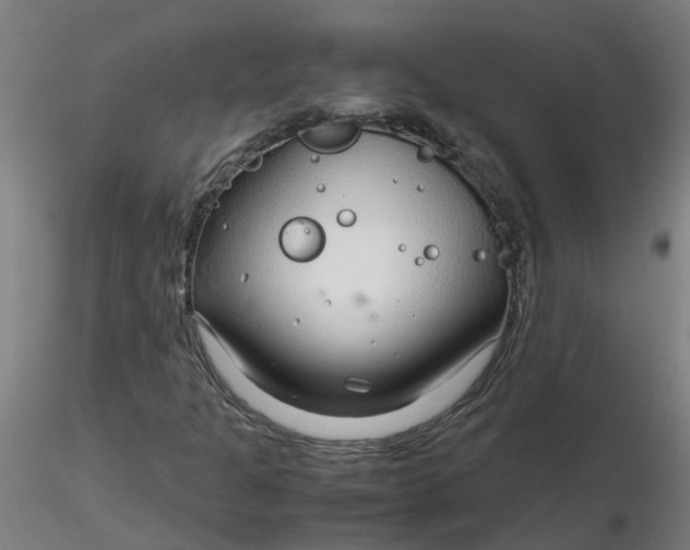 X0000116351301200912221453