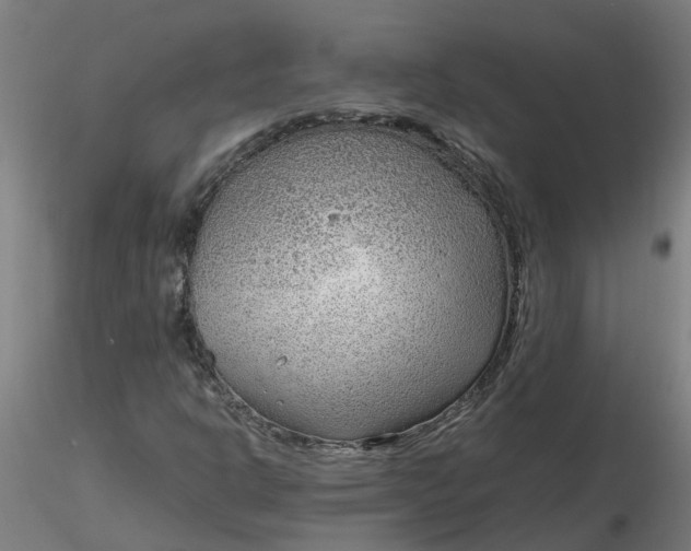 X0000116351302200912221453