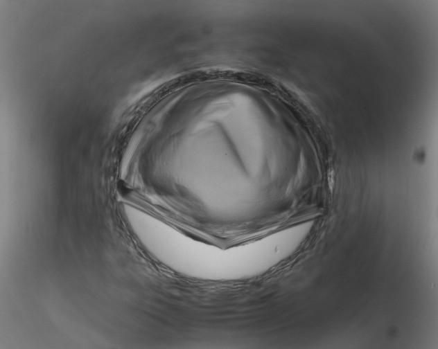 X0000116351303200912221453