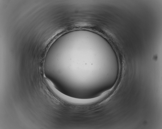 X0000116351305200912221453