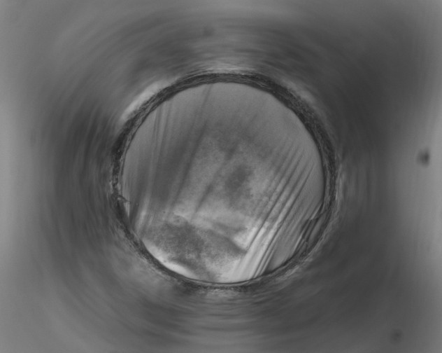 X0000116351306200912221453