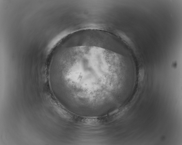 X0000116351310200912221453