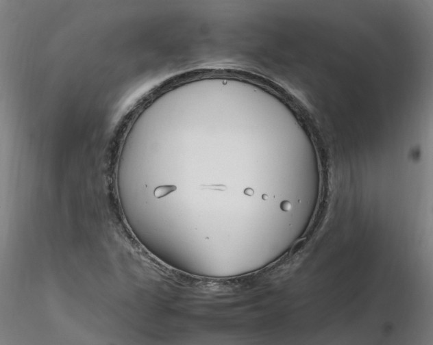 X0000116351311200912221453