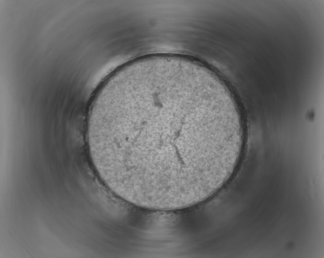 X0000116351314200912221453