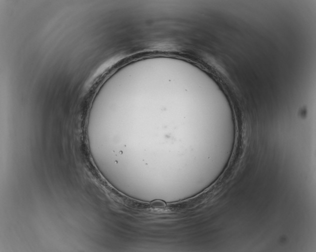 X0000116351315200912221453