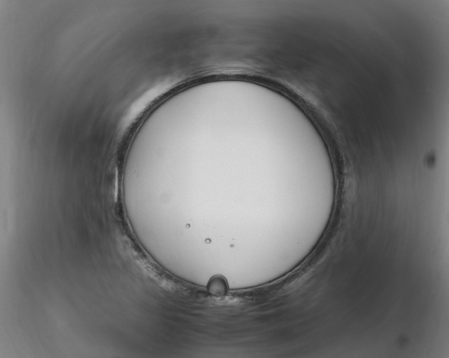 X0000116351317200912221453