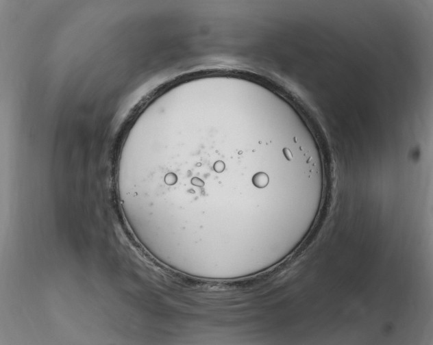 X0000116351318200912221454