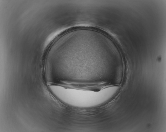 X0000116351319200912221454