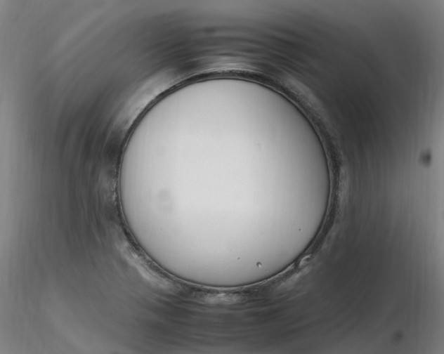 X0000116351321200912221454