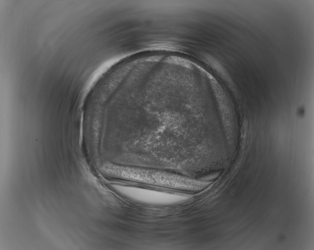 X0000116351323200912221454