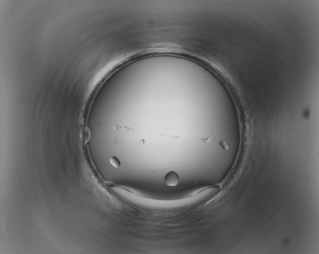 X0000116351325200912221454