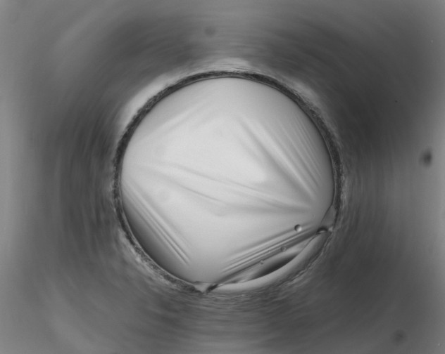 X0000116351326200912221454