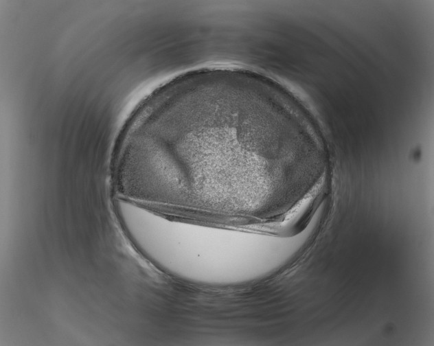 X0000116351327200912221454