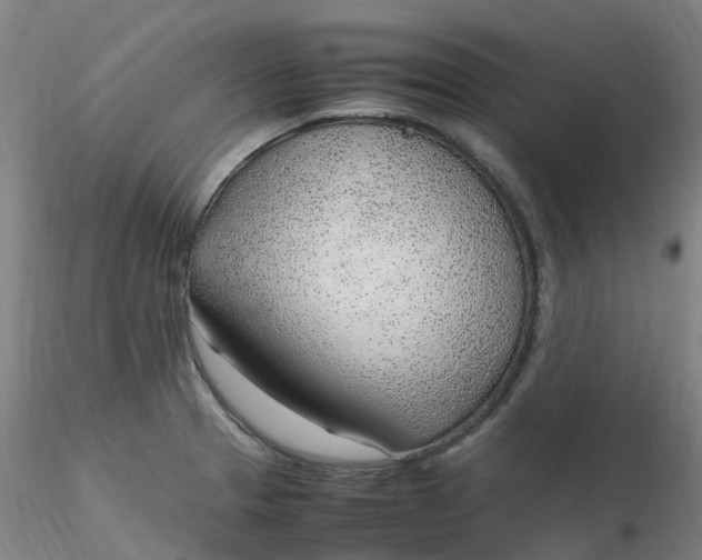 X0000116351329200912221454