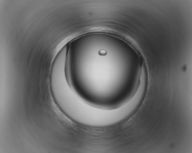 X0000116351330200912221454