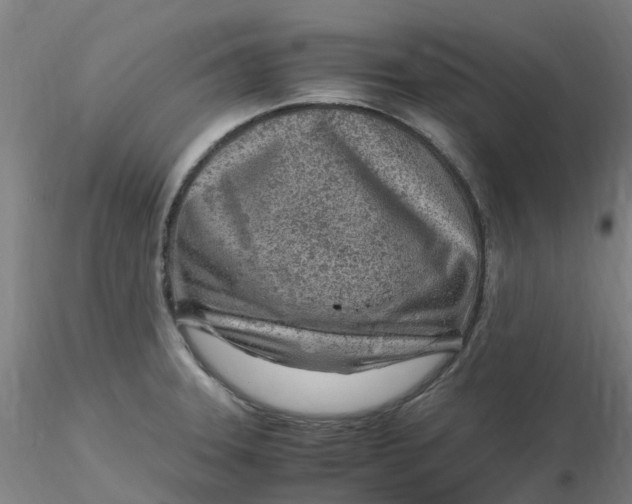 X0000116351331200912221454