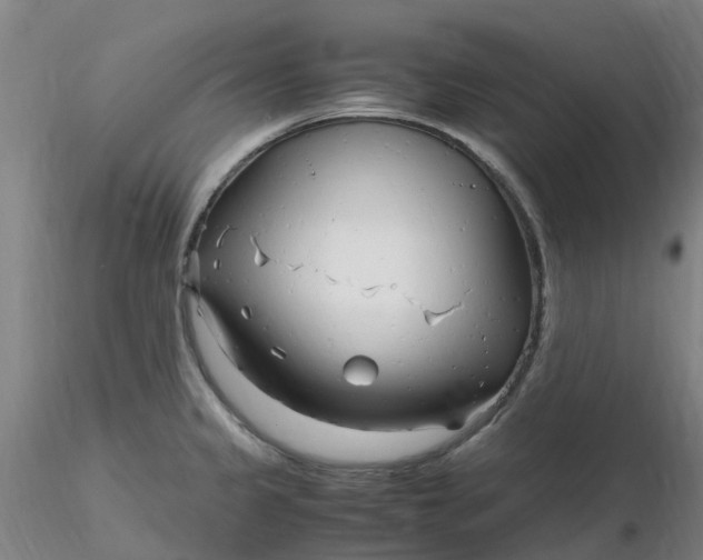 X0000116351333200912221454