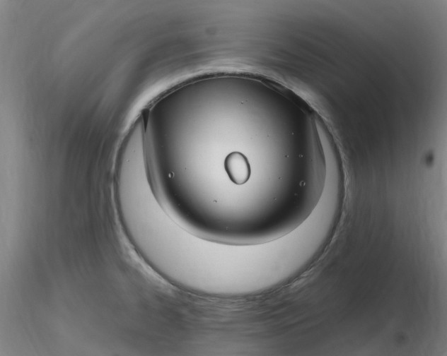 X0000116351334200912221454