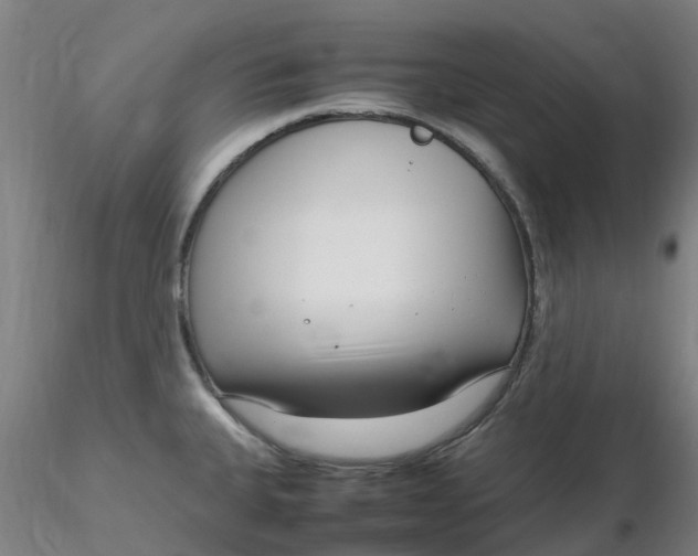 X0000116351335200912221454