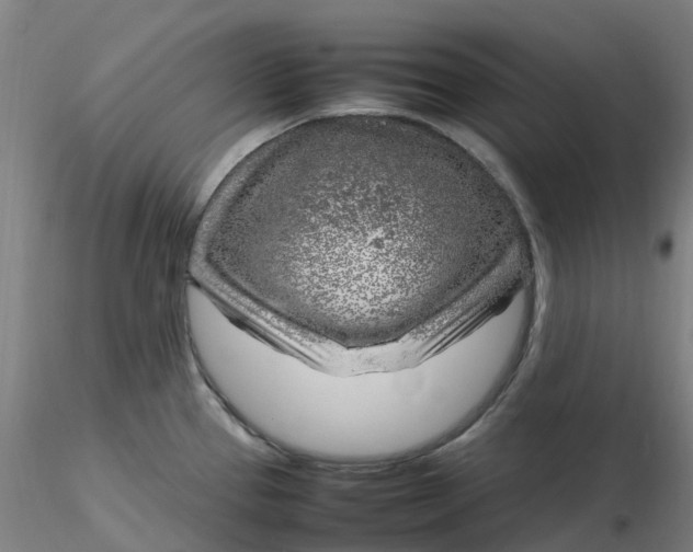 X0000116351337200912221454