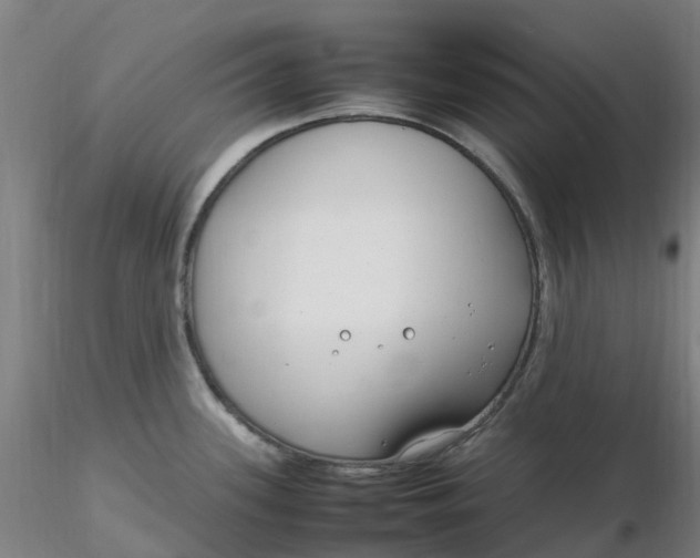 X0000116351339200912221454