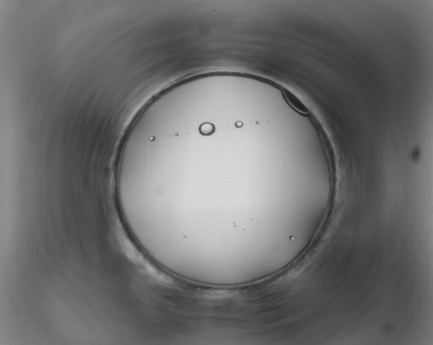 X0000116351341200912221454