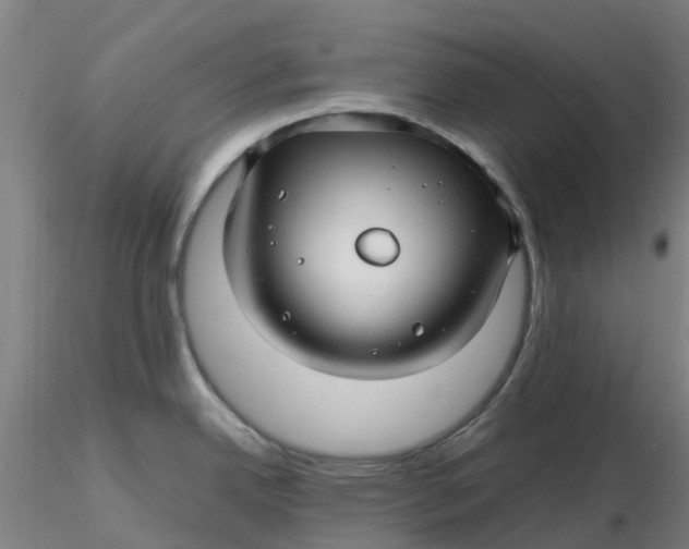 X0000116351342200912221454