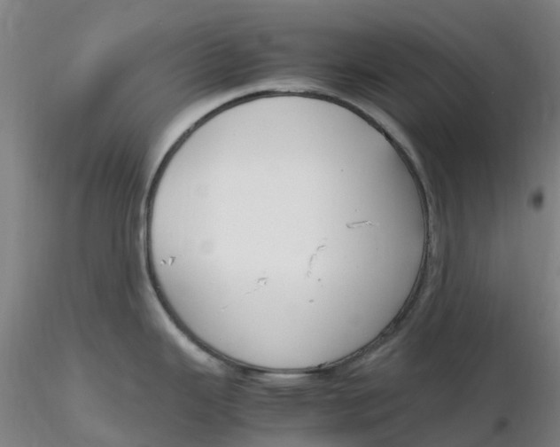 X0000116351343200912221454