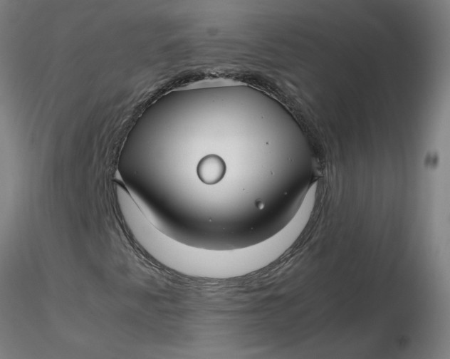 X0000116351345200912221453