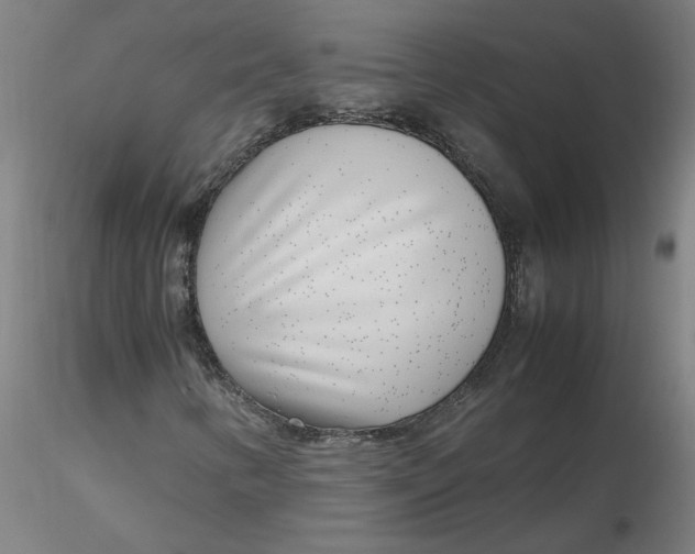 X0000116351346200912221453