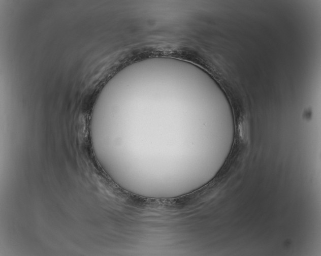 X0000116351347200912221453