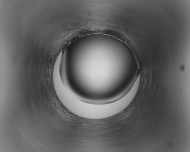 X0000116351348200912221453