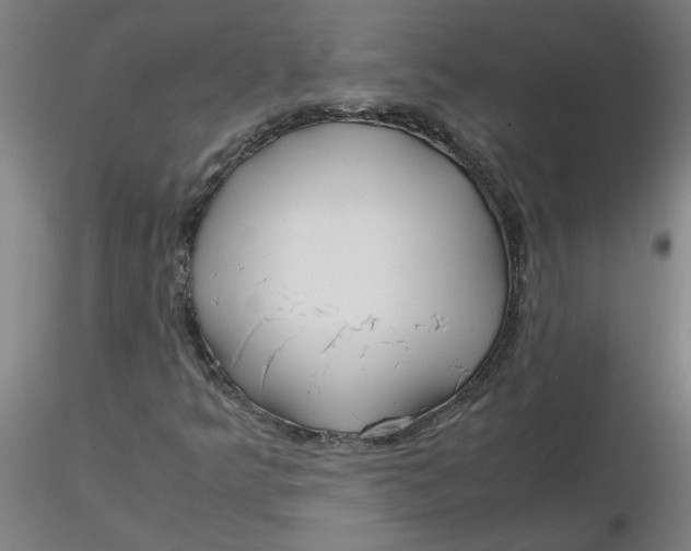 X0000116351349200912221453