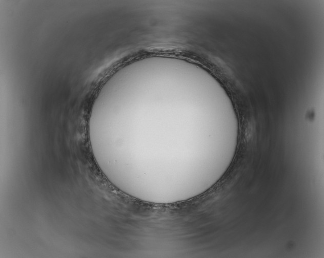 X0000116351350200912221453