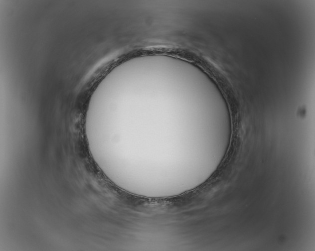 X0000116351351200912221453