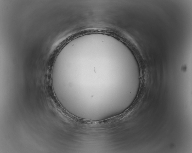 X0000116351352200912221453