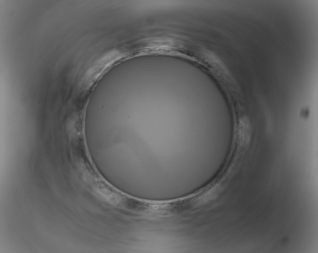 X0000116351353200912221453