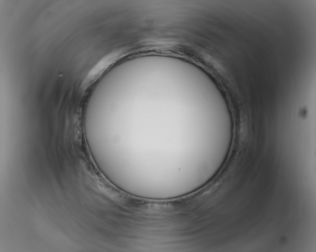 X0000116351354200912221453