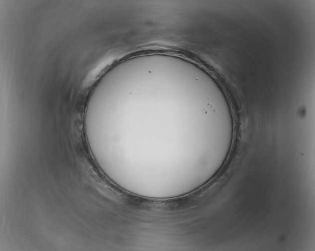 X0000116351355200912221453