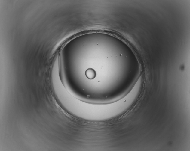 X0000116351356200912221453