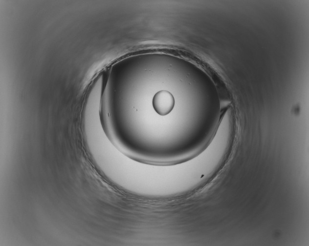 X0000116351357200912221453