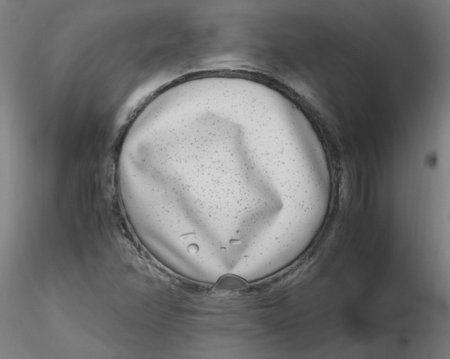 X0000116351358200912221453