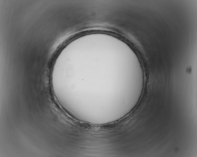 X0000116351360200912221453