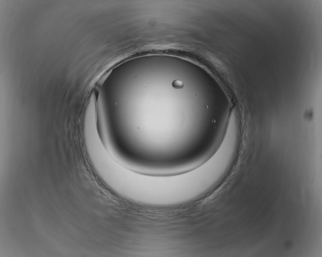 X0000116351361200912221453