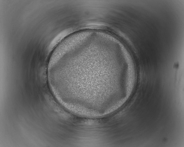 X0000116351362200912221453