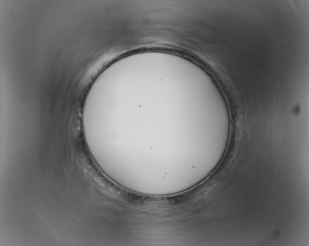 X0000116351363200912221453