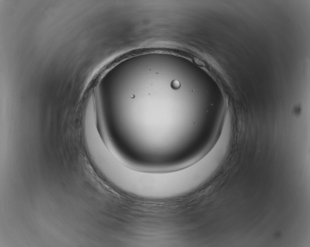 X0000116351364200912221453